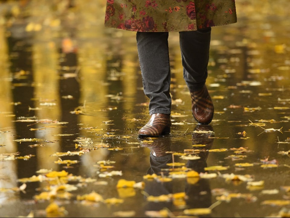 Какой район Подмосковья чуть не смыло дождями: синоптики выдали точные данные