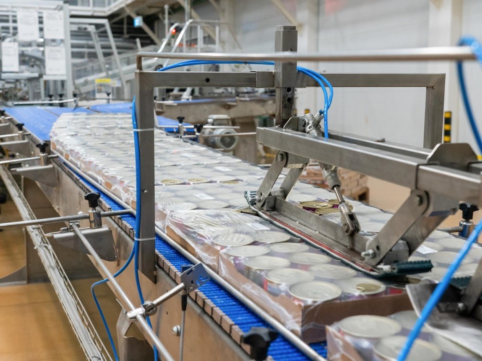 Мяу‑успех и гав‑прогресс: как Подмосковье кормит всю Россию кошачьими и собачьими деликатесами