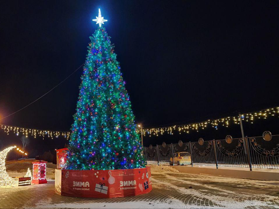 Десятиметровая ель с подсолнухами украсит парк в последних числах ноября