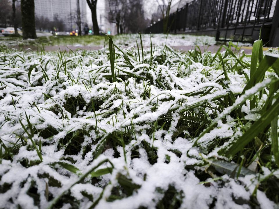 Можете не надеяться: синоптик Позднякова дала неутешительный прогноз на снег в Подмосковье