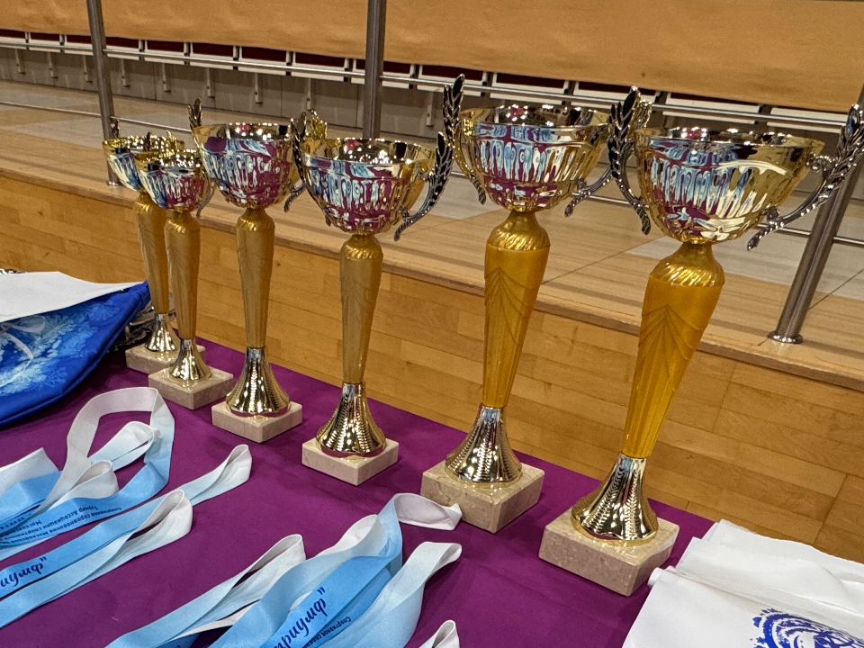 Фрязинские гимнастки завоевали несколько призовых мест на открытом турнире в Лобне