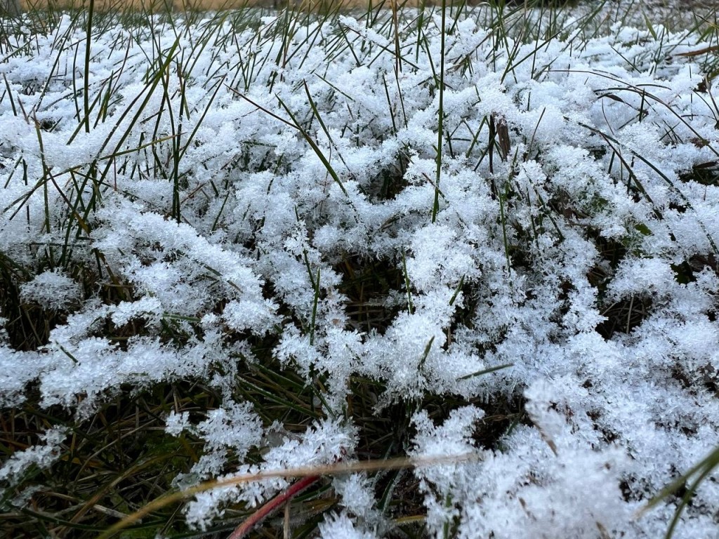 «На 10°C упадет температура в Подмосковье»: в Гидрометцентре предупредили о неожиданном похолодании