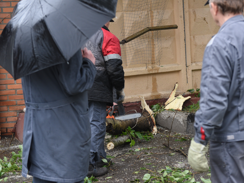 В Московской области объявлено штормовое предупреждение