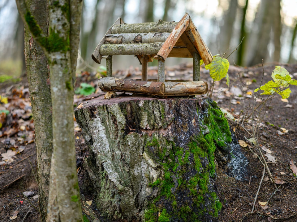 Самый маленький земельный участок в Красногорске продают за 350 тысяч рублей