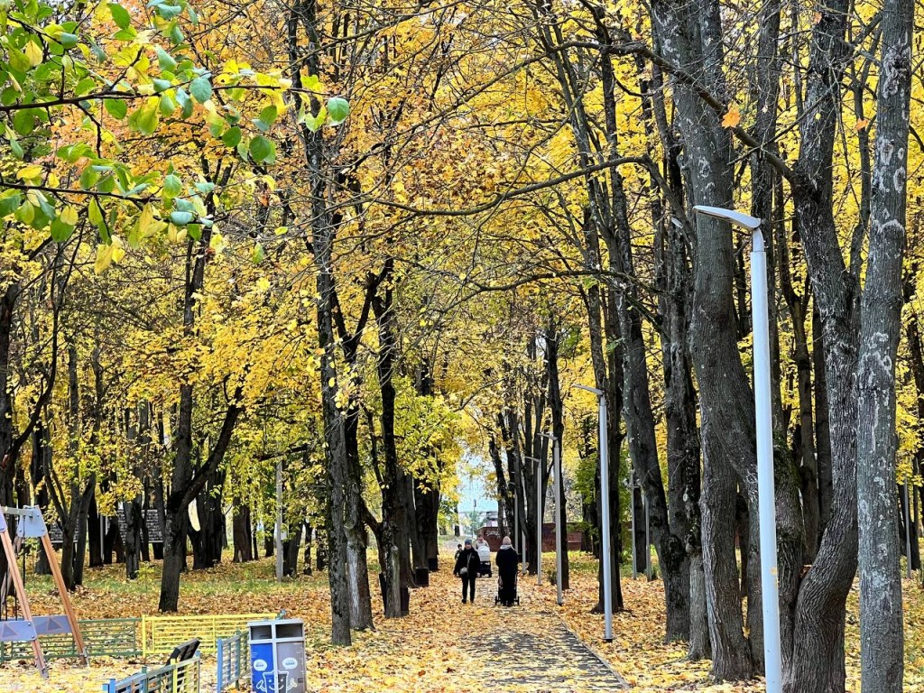 Теплее на +7°C: ноябрь в Москве побил 12-летний температурный рекорд