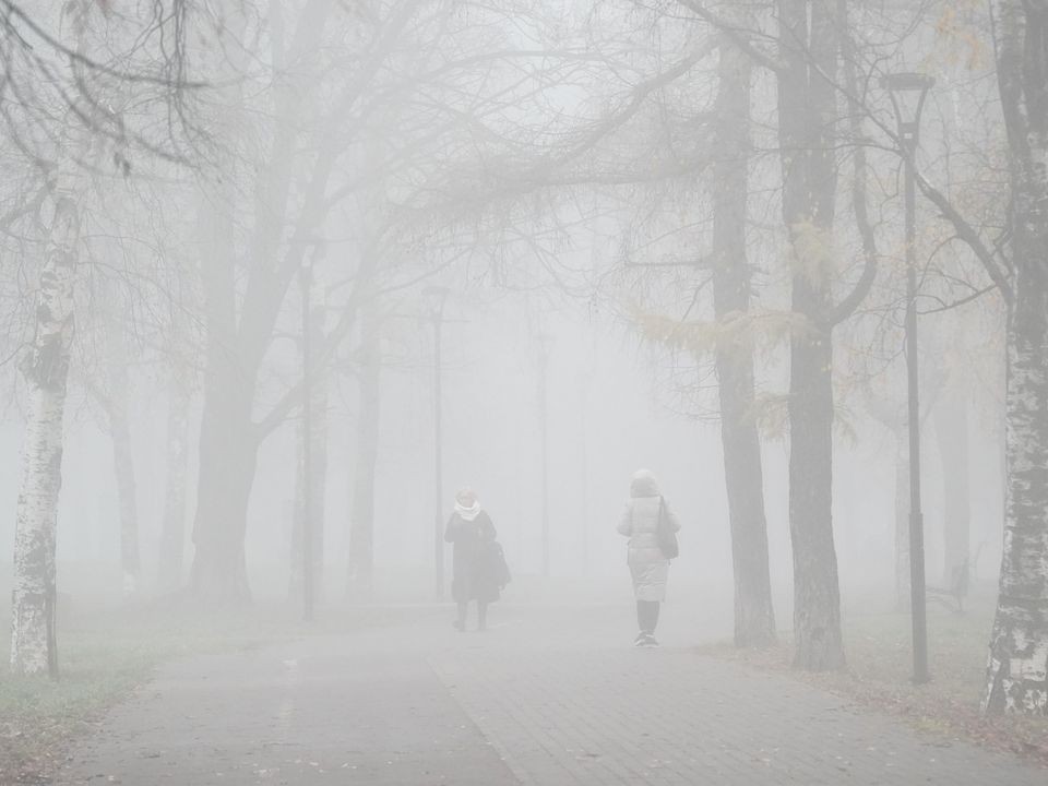 МЧС объявило предупреждение о тумане в Подмосковье