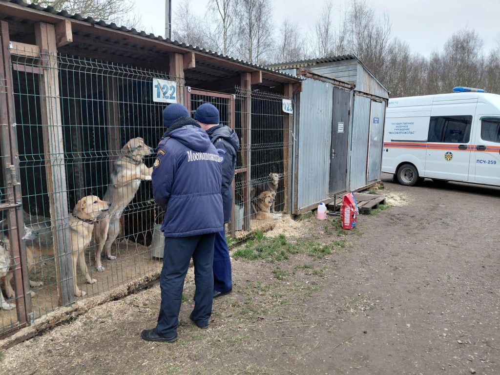 Пожарные в роли добрых волшебников: как спасатели поддержали приют для животных в Ямкино