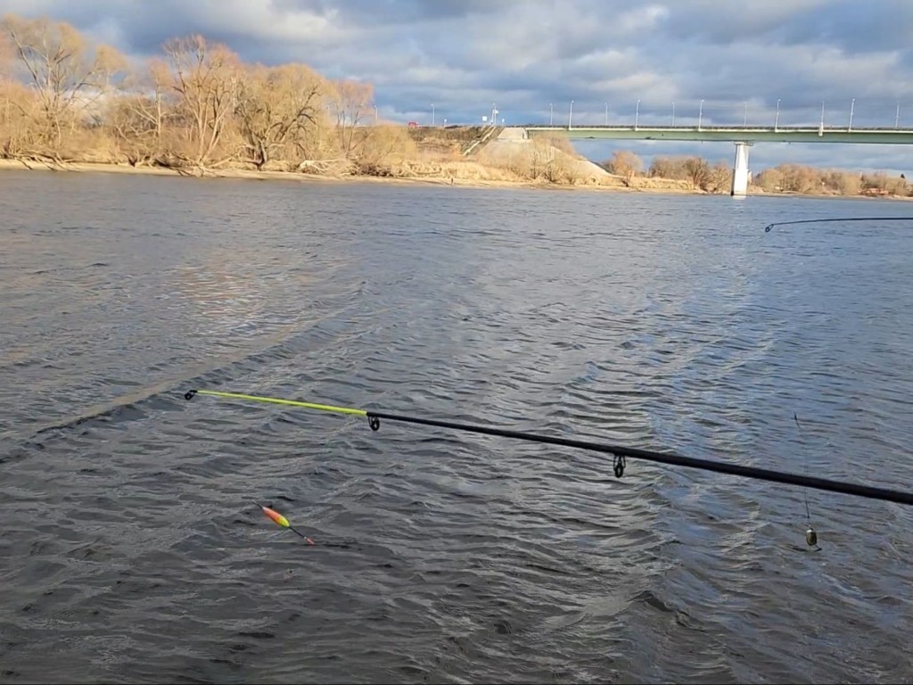 Как поймать судака в холода? Есть одна хитрость, узнай какая