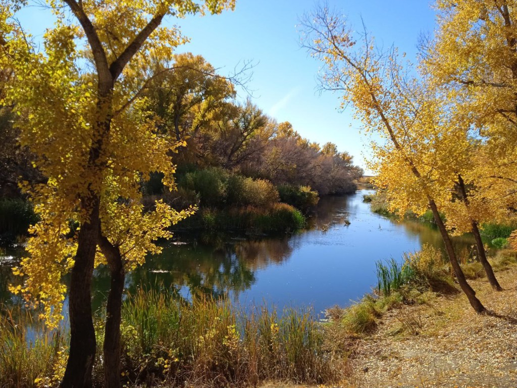 Температура в Подмосковье поднимется до +12 градусов в конце грядущей недели