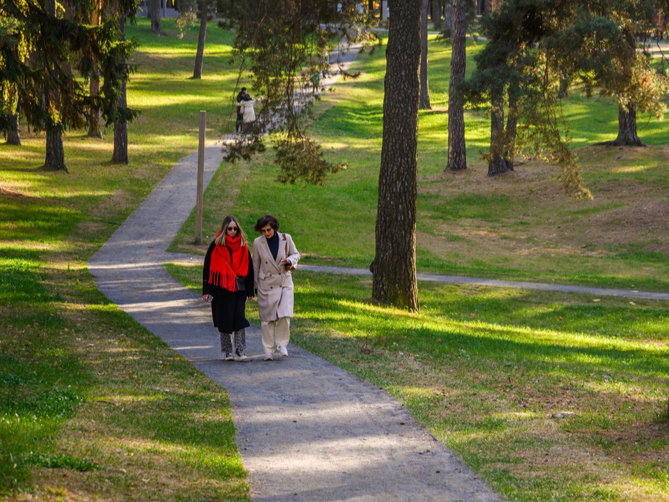 Синоптики назвали день ноября, когда воздух в Подмосковье прогреется до +7°С