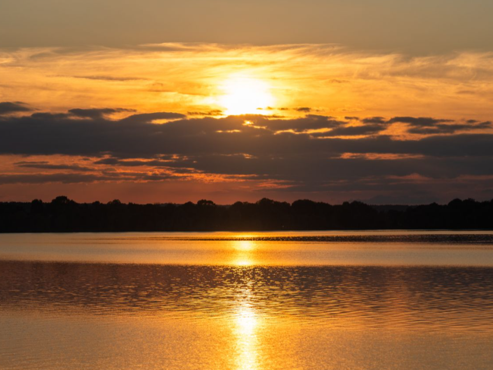 Нежный розовый рассвет удивил жителей Подмосковья: фото заполонили соцсети