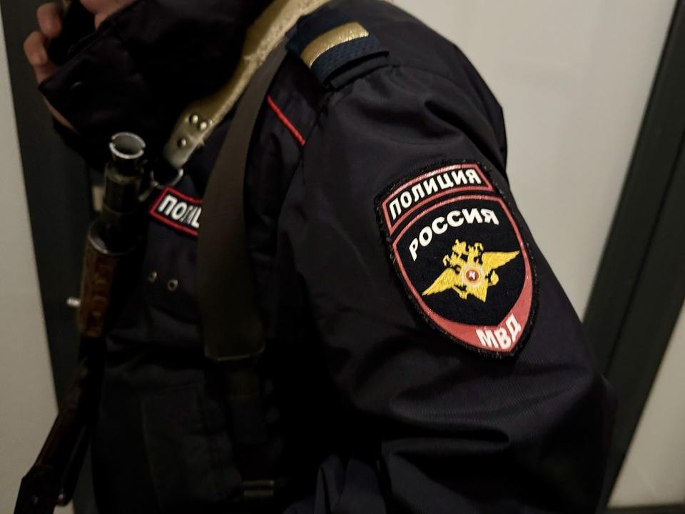 Массовая драка в Новой Москве: полиция устанавливает обстоятельства и участников