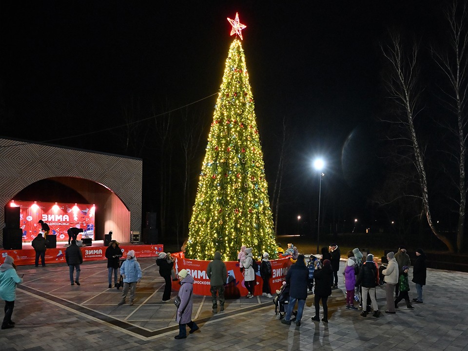 Зажжение елки и библиокруиз: что посетить в парках Ступина в первую неделю зимы