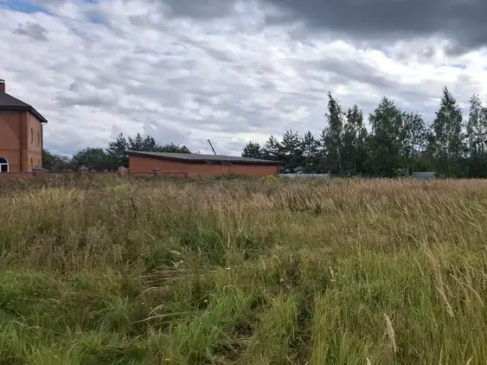 Аукционы в Подмосковье бьют рекорды: как найти участок для дома и не переплатить