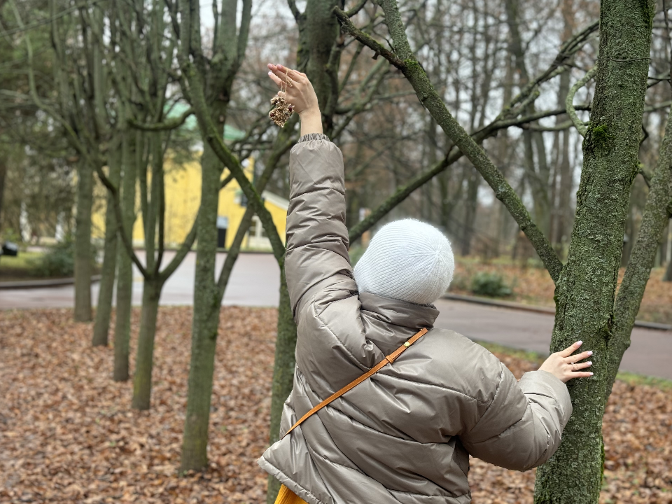 Детские руки спасают крылатых: юные лесоводы кормят голодающих птиц Можайска