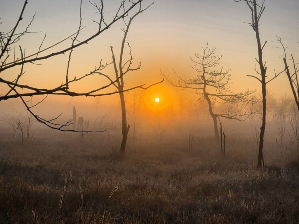 Древний оберег от зла: что обязательно положить у порога 3 декабря? Наши предки знали секрет!