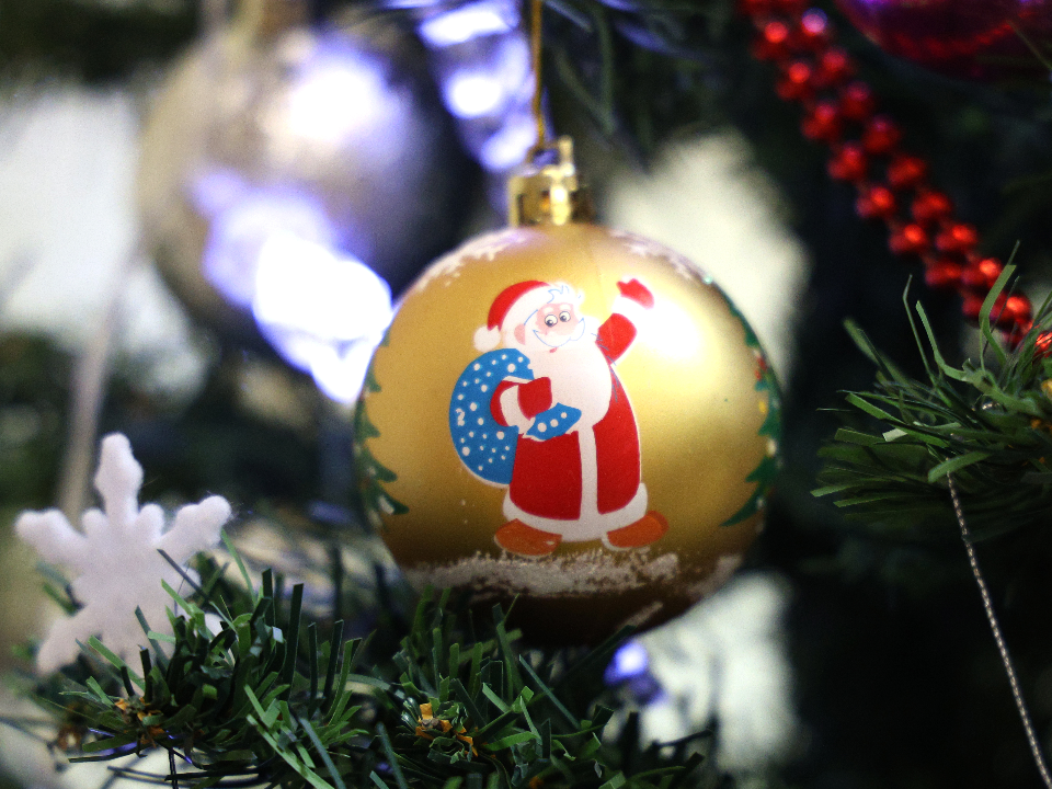 Дмитровчан приглашают на Новогодние семейные чтения вслух