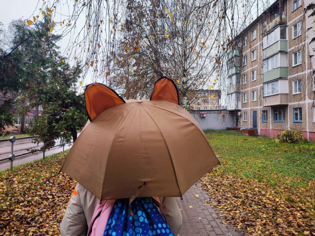 В эту дату ноября вернется октябрь в Подмосковье