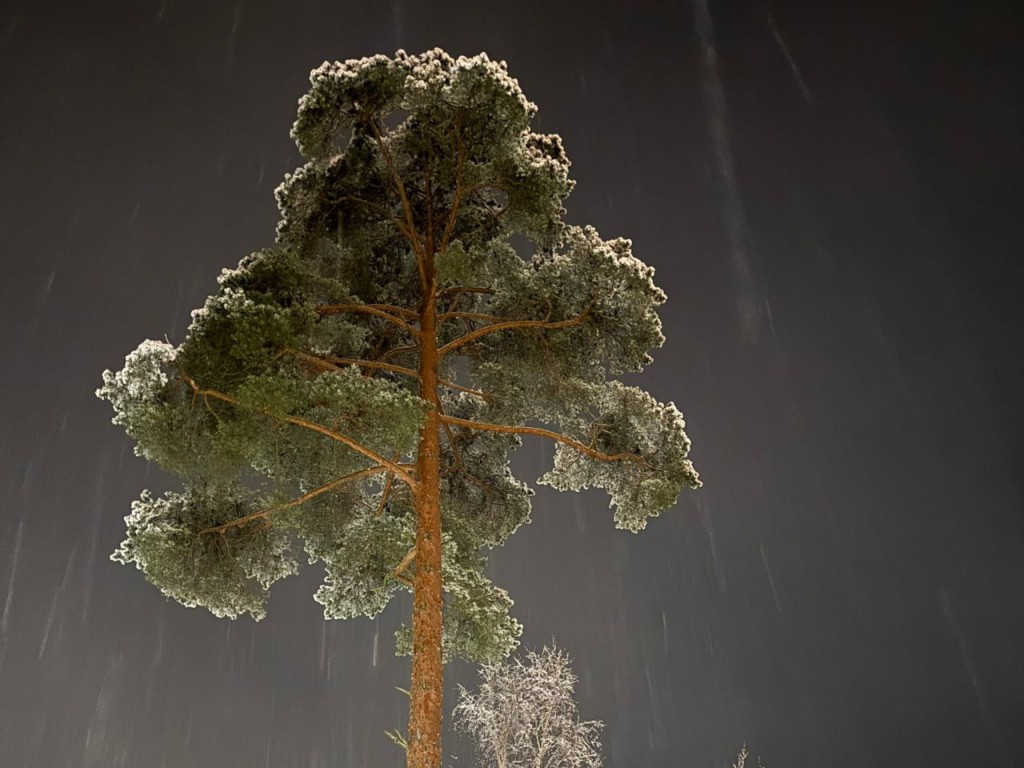 Секреты древних предков на Гурьев день: какие важные ритуалы нужно провести 28 ноября, чтобы привлечь счастье и богатство