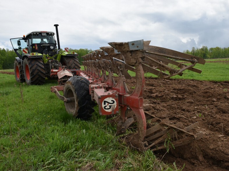 В Подмосковье раздают сельхозземлю без торгов: что нужно, чтобы получить участок уже в этом году
