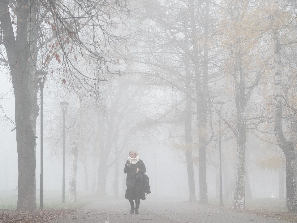 Видимость на нуле: в Подмосковье объявлен «желтый» уровень опасности из-за тумана