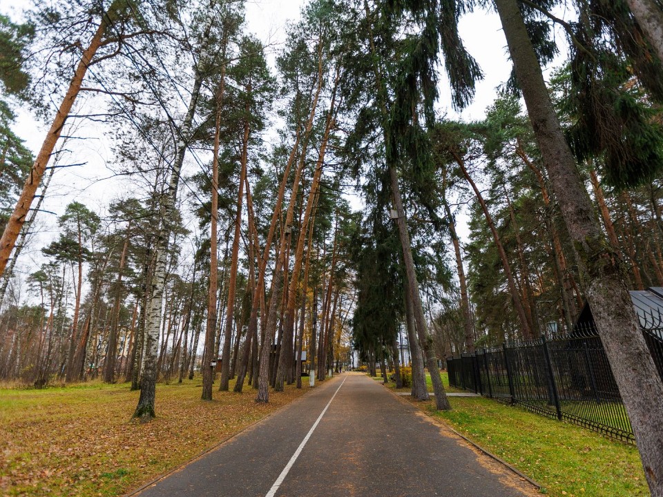 Позднякова объяснила, почему в конце ноября не появится снег. Ждать ли настоящей зимы под Новый год?