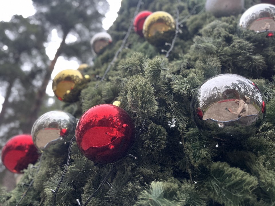 Начало зимы: новые елки и огни засияют в парках Лосино-Петровского с 1 декабря