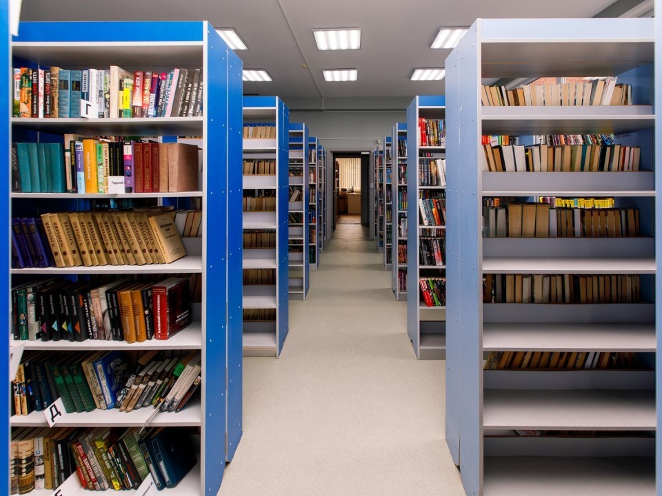 «Совики» против «Сказок кота Кузьмы»: как подмосковные библиотекари покорили фестиваль чтения