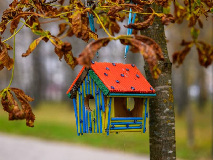 В Воскресенске отметят Синичкин день развешиванием кормушек в Белоозерском