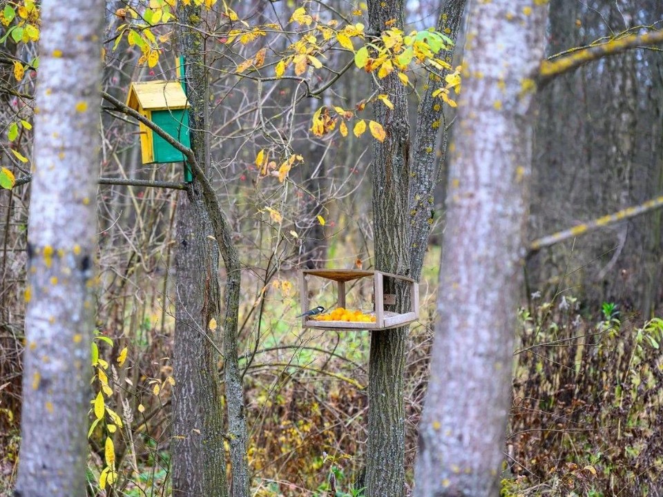 Не просто берег, а место силы: чем удивит обновленная набережная реки Саминка