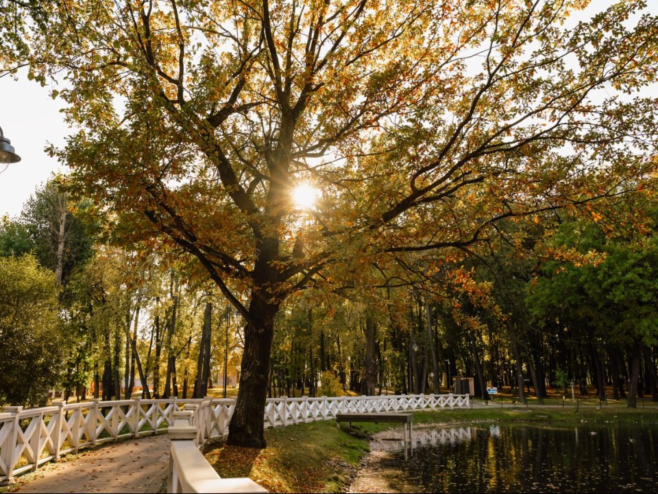 Синоптик Вильфанд сказал, на сколько затянется аномальное предзимье