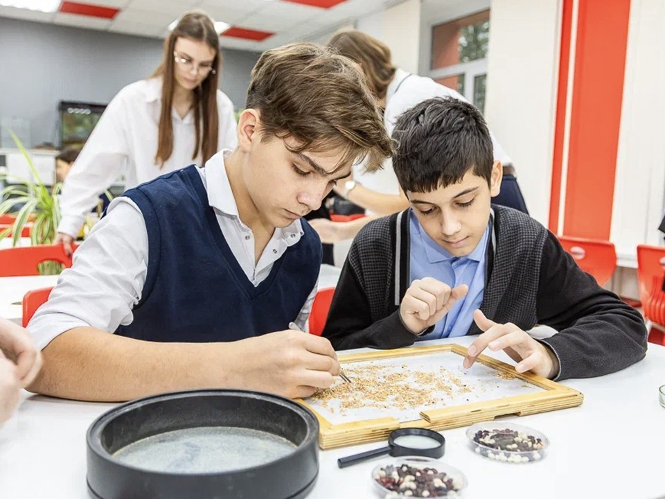 Выпускники предпрофессиональных классов лучше сдают ЕГЭ и чаще поступают на «бюджет»