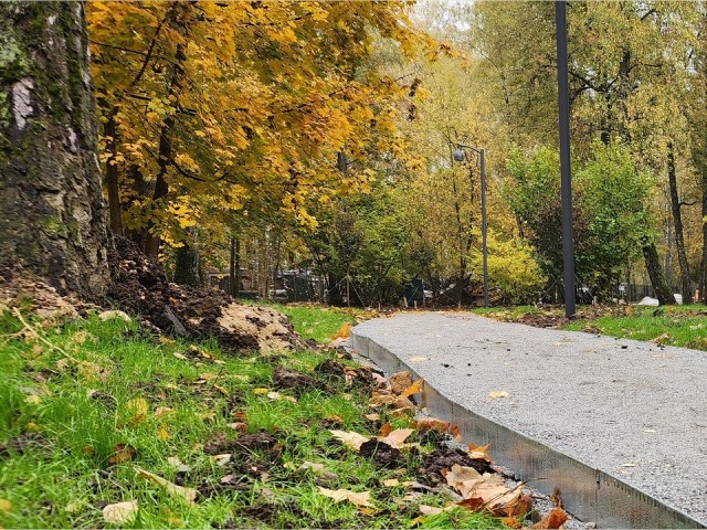 Мужчина в маске и очках пугает посетителей Мытищинского лесопарка