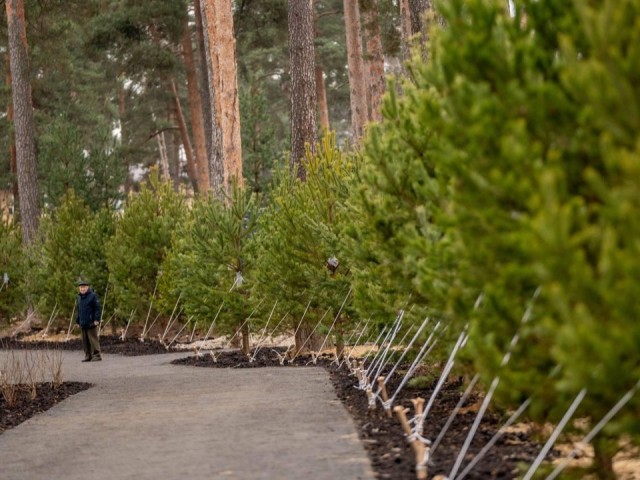 Что уже изменилось в лесопарке «Стрелки»: метаморфозы, которые удивят жителей