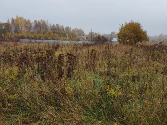 Самый бюджетный лот недели: как в поселке Уваровка участок в 12,5 соток ушел в аренду всего за ₽45 тыс. в год