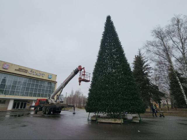 Волшебство начинается: в Луховицах установили 16‑метровую елку, которая скоро засияет во всей красе