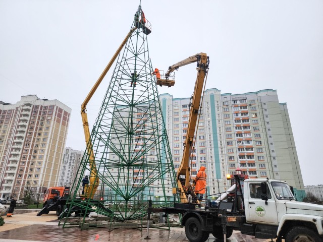 На бульваре 65-летия Победы началась установка новогодней елки-рекордсменки