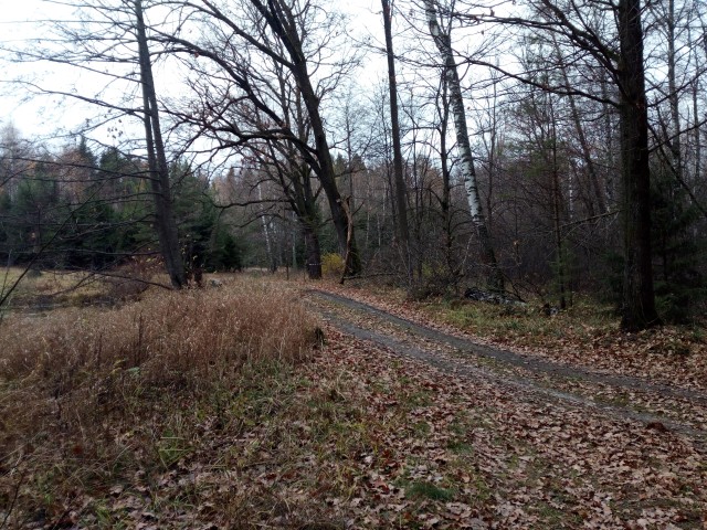 Что можно и нельзя делать в Илларионов день 3 ноября 2025 года