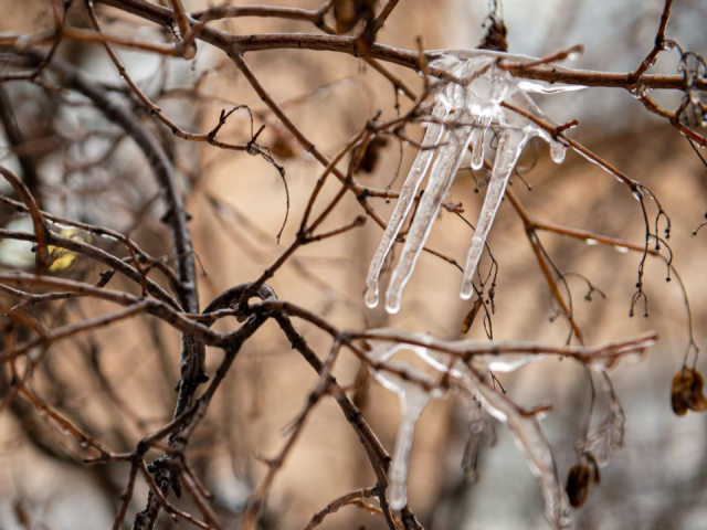 Ледяной дождь и гололед: какая погода будет в Подмосковье 21 ноября