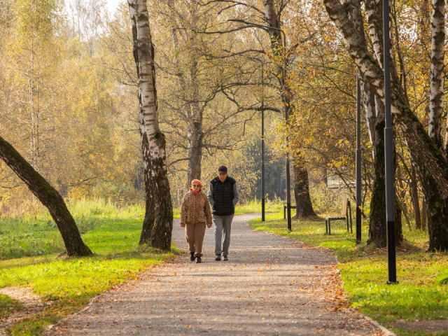 Пять лет вместе с «Городским лесом»: в Домодедове 2 ноября устроят семейный праздник с подарками, забегом и обменом книгами
