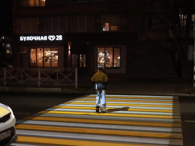 Световой коридор спасает жизни: как в Истре делают переходы видимыми даже в тумане