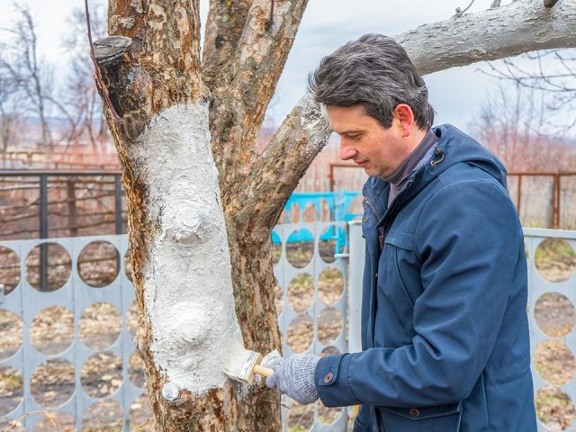 Преображается на глазах: как меняется сквер в центре Рузы