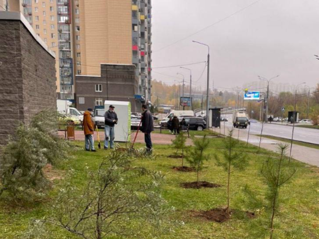 Осеннее озеленение в Павшинской пойме: жители, власти и УК объединились