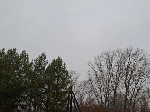 Видновчан ожидает аномально теплый конец ноября