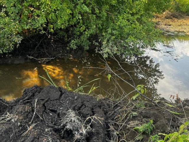 Народный контроль сработал: как жалоба жителей помогла Минэкологии выиграть суд против владельца земли в Балашихе, испортившего береговую линию