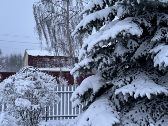 Синоптики предупреждают о морозах и снегопадах: к чему готовиться жителям Подмосковья