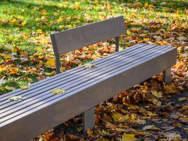 Вслед за теплыми выходными в Подмосковье придет похолодание