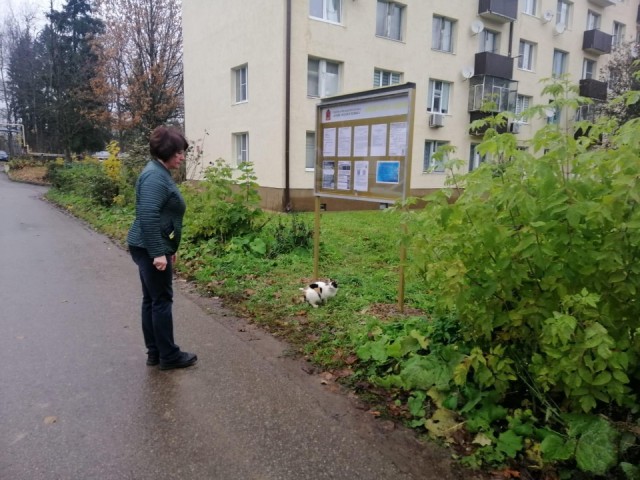 «Теперь приятно взглянуть»: жители ЗАТО Восход оценили новые информационные стенды