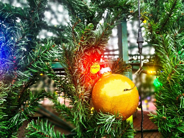 Площадь Космонавтов засияла праздником: в Дубне установили новую новогоднюю елку