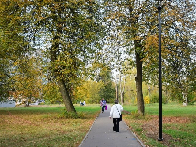 Афиша парков Орехово-Зуева на неделю: жителей ждут мастер-классы, квизы и спорт
